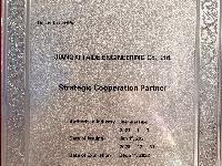 ABB戰略合作伙伴